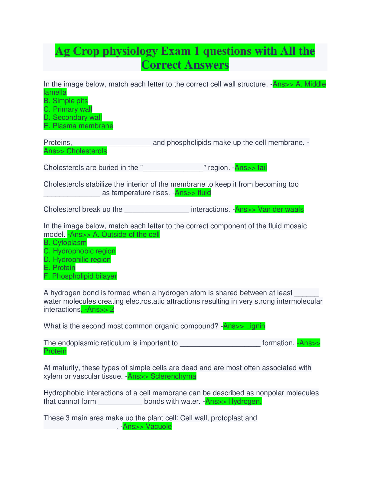 document-preview